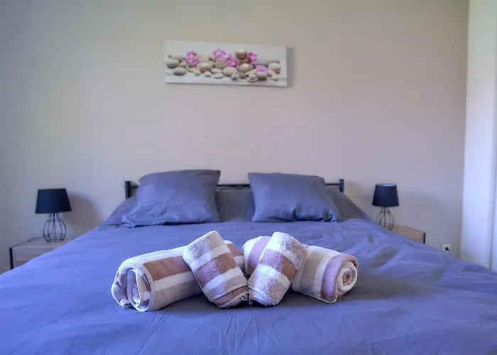 Maison Climatisee, Jardin , Et Parking Privatif Proche Centre Ville